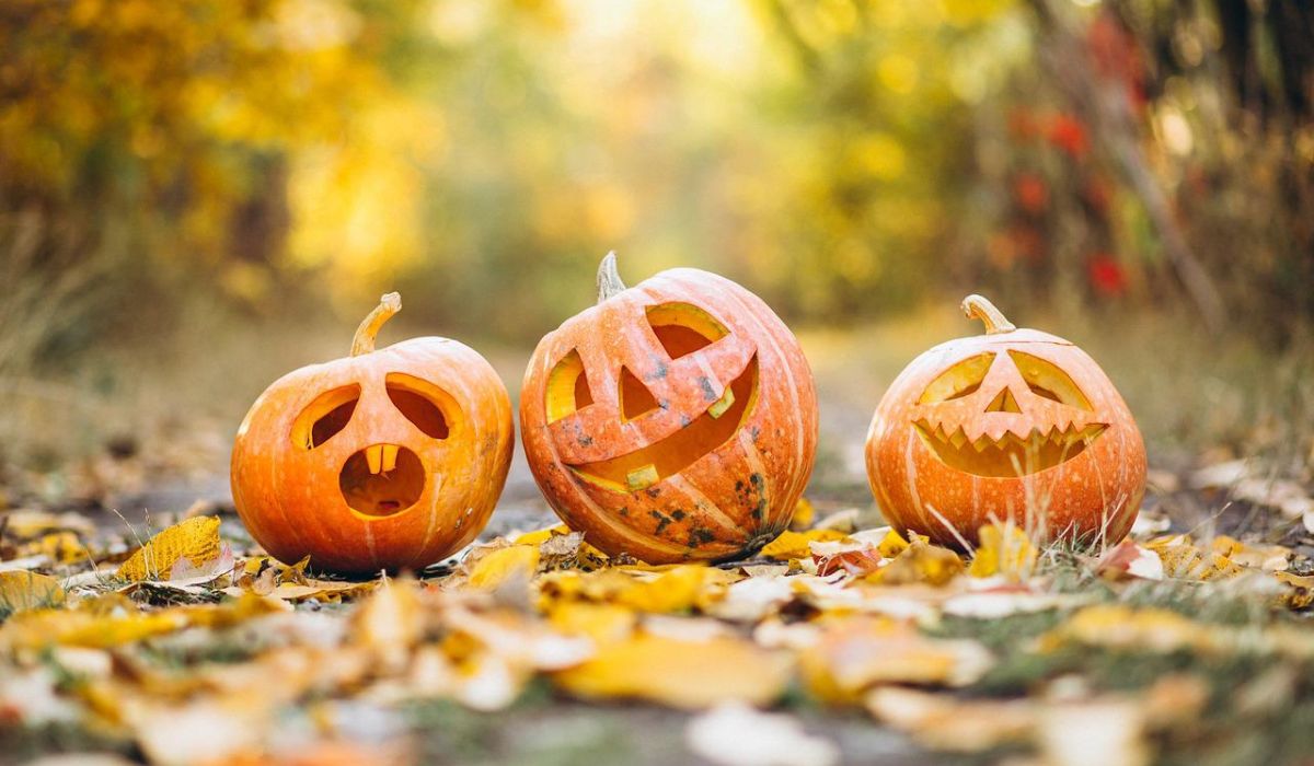 Three Halloween pumpkins on an autumn background