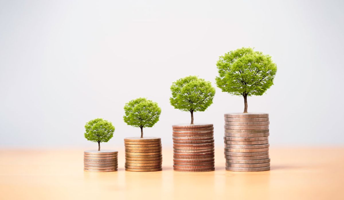 A row of coins representing financial growth