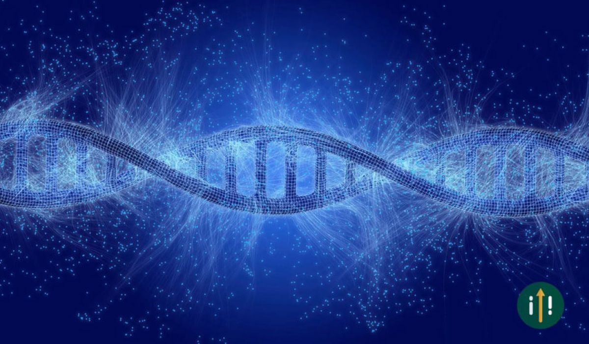 DNA Chain
