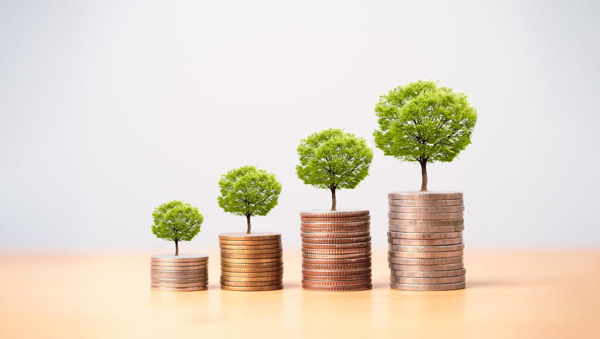 A row of coins representing financial growth