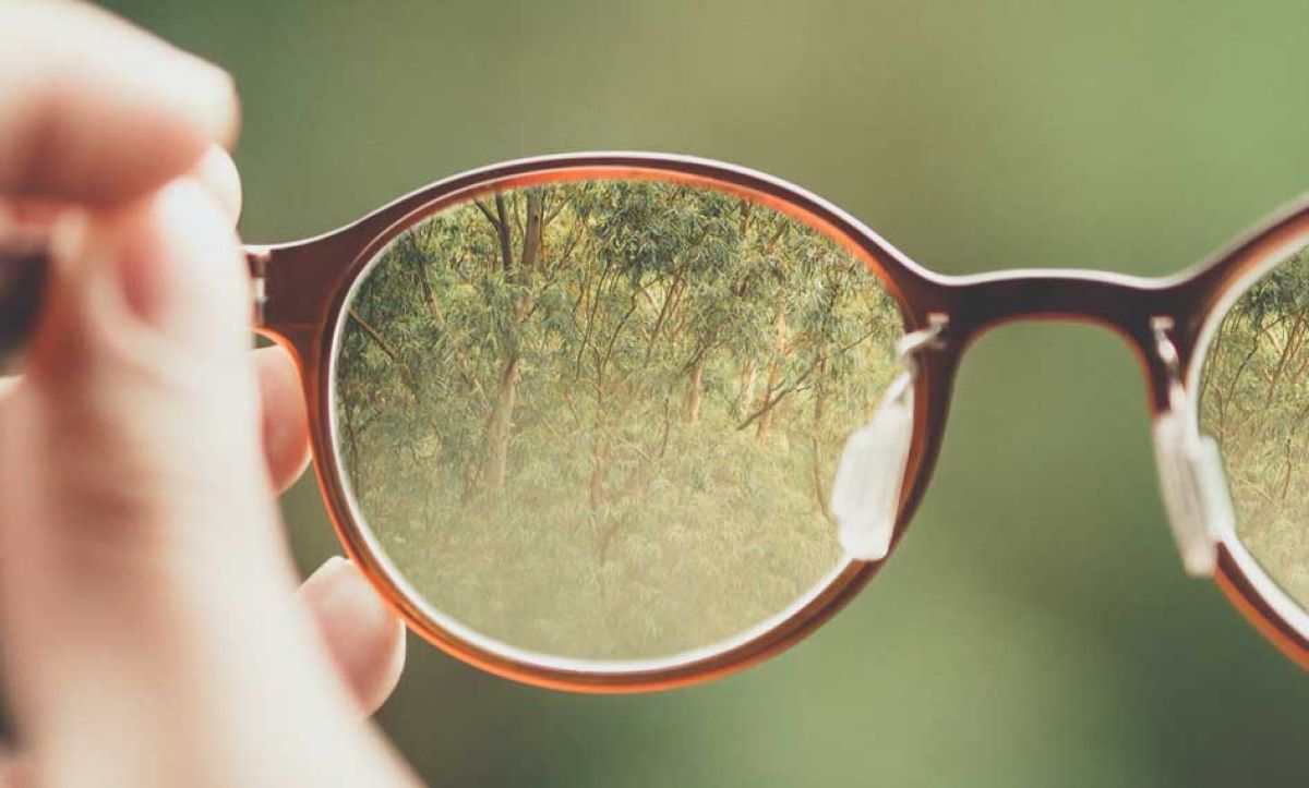 A person holds a pair of glasses, with a lush green forest visible in the background.