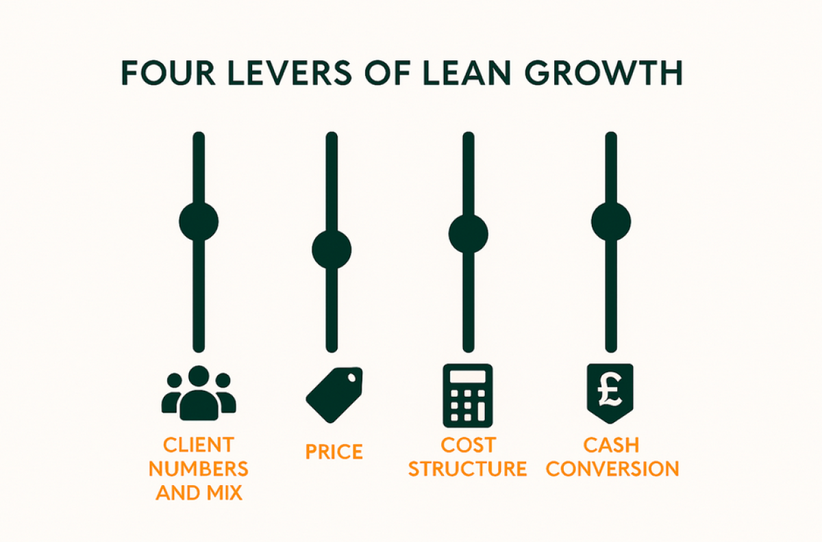 Diagram illustrating four levels of lean growth, showcasing stages of development and improvement in a business context.