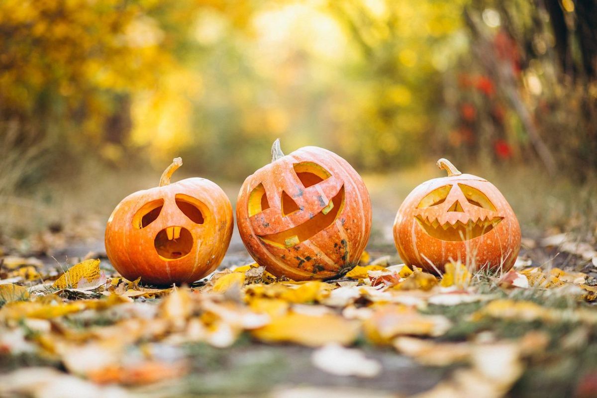 Three Halloween pumpkins on an autumn background